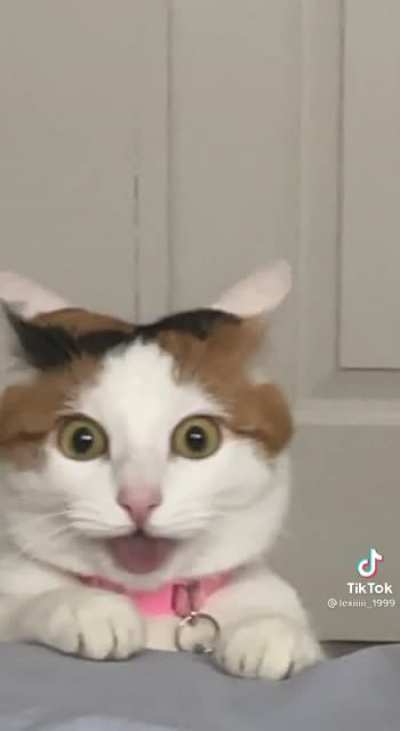 How does it match so perfectly