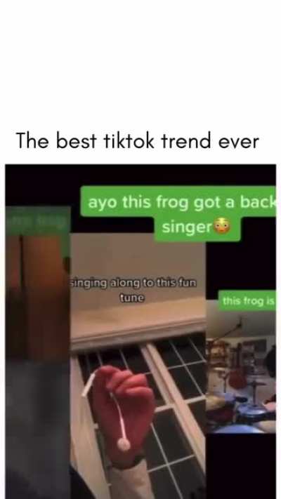 Bi🐸irl