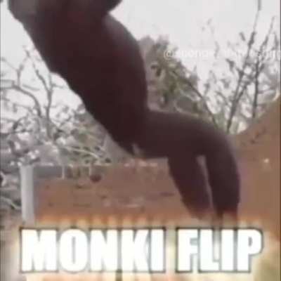 Le monki