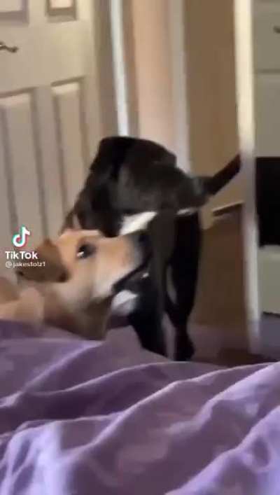 Where do you think you’re going?