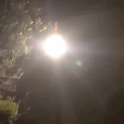 the best shit you’ll see in a while
