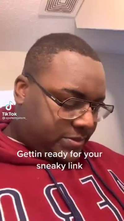 Sneaky Link