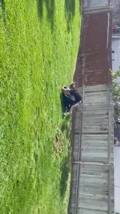 Fight I Was In (Black adidas track pants is me)