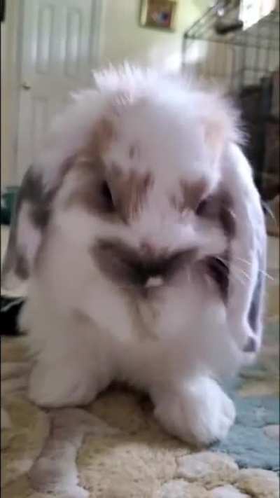 Cleaning my cute face