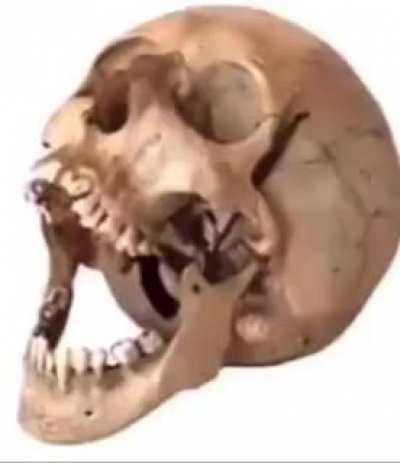💀⚰️🎃