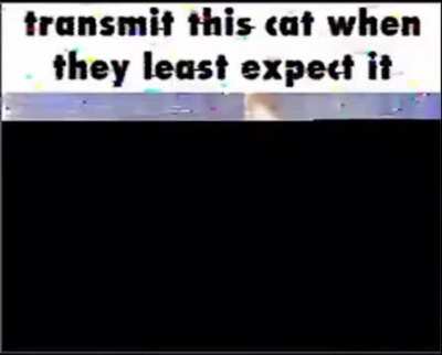 Loserprison transmission 