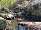 Stream