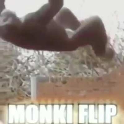 %100 BÖCEK YOK