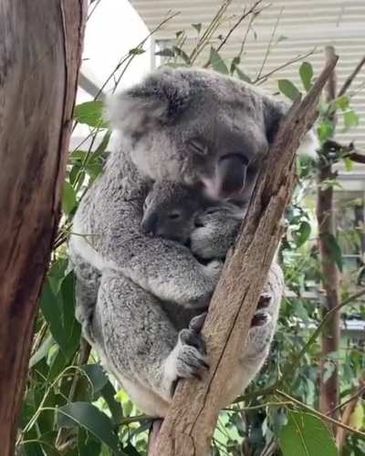All you need today
