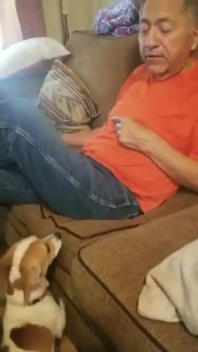 My Dad's dog Brandon really doesn't like being called a bad dog.