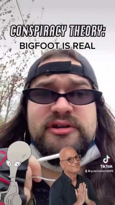 Bigfoot is real...