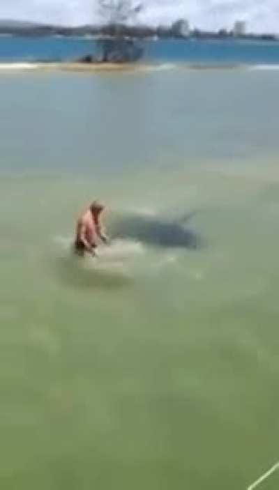 Jumping on A giant stingray