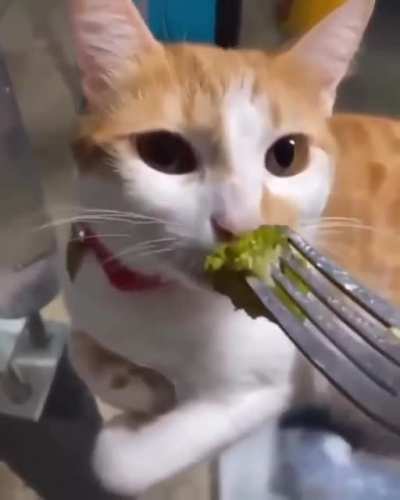 Sniffing the broccoli