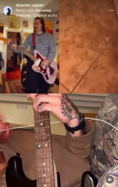 i added onto the scorpion poop guitar