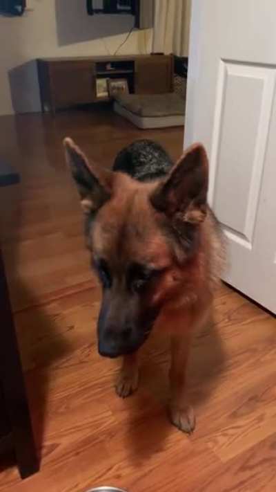 Dad, I’m hungry!