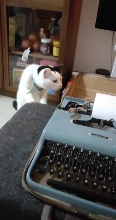 I bought a typewriter today and Ben hates it