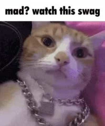 Mad? Watch this swag