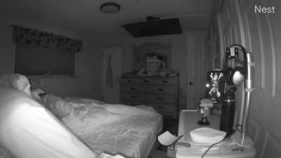 Can anybody explain this strange “whoo<wbr>shing<wbr>” sound that causes my iPad Pro to go crazy? (At first of clip, turn up sound)Because of stuff we have captured on our cameras while we sleep, I have been activating cameras while we are gone to see what I catch.