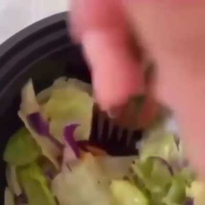 Vegan