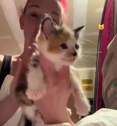 Wunk is being subjected to enhanced interrogation techniques 😁
