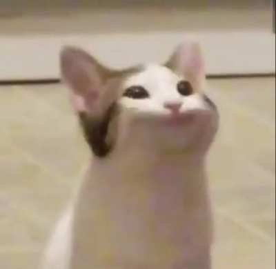 Cat sings Overworld theme