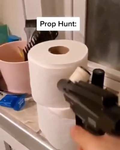 Prop hunt
