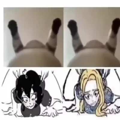 Heil spez