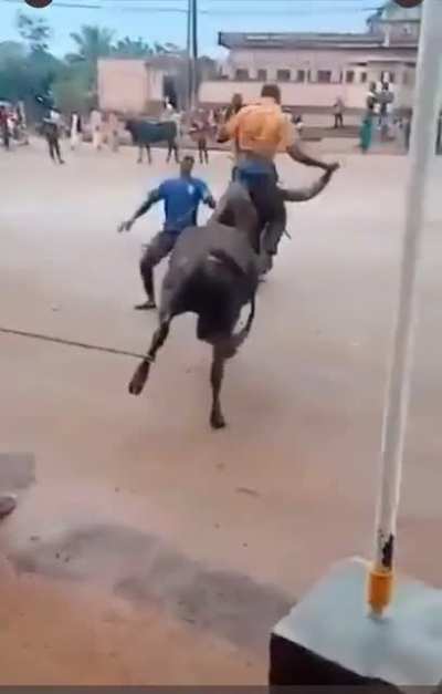 Me HODLing Dogecoin be like...