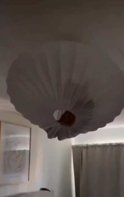 Catculated light fixture abode (Credit: @psykbryt_).