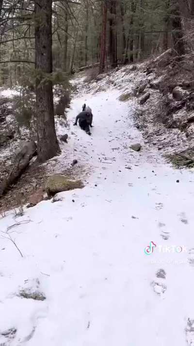 “I don’t care about the safety of my dog or anyone else!”