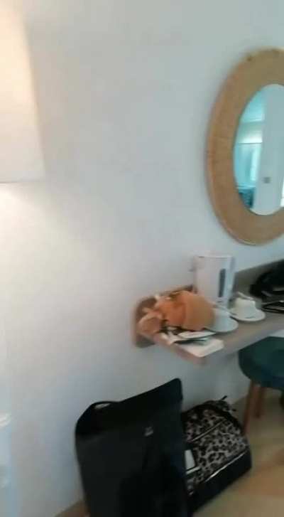 My wife thought it was a good idea to make a room tour while I was in the room