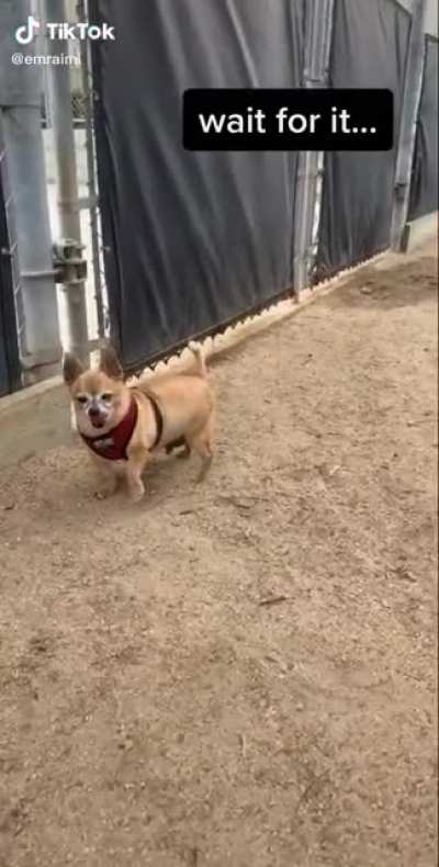 Wait for it