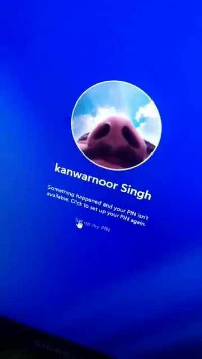 Are we still hating on windows 11?