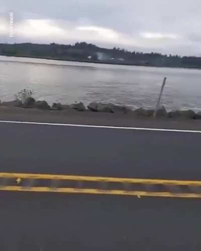The power of nature