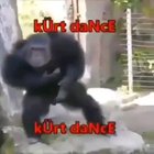 .d