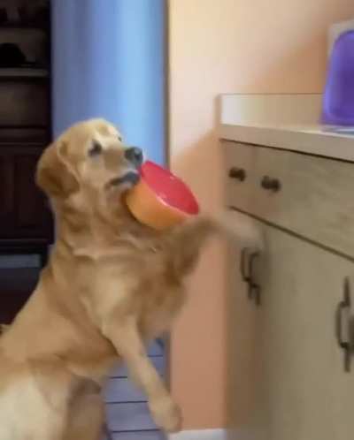 Caught in 4k