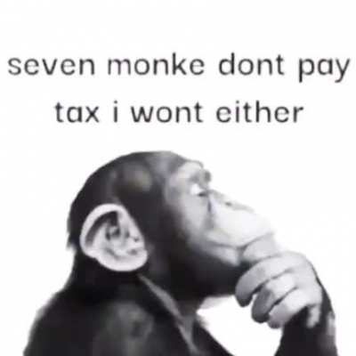 Never pay taxes ever again