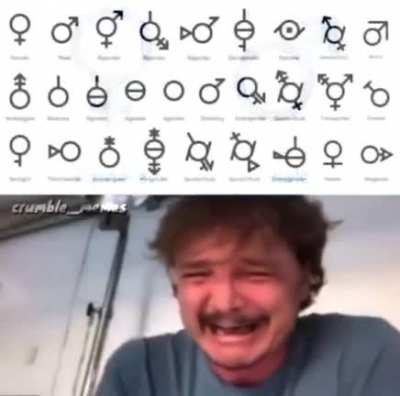como mierda terminemos asi?