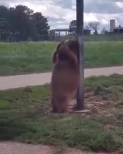 That's the spot