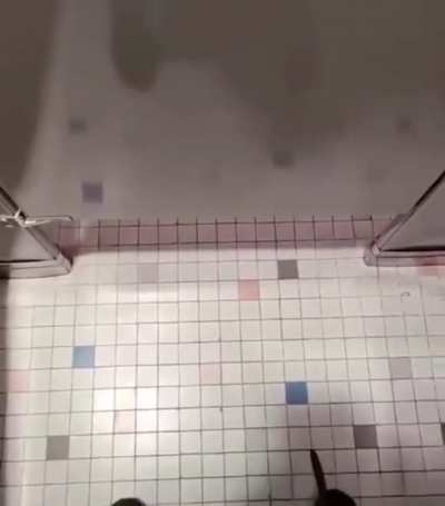 Oh shit