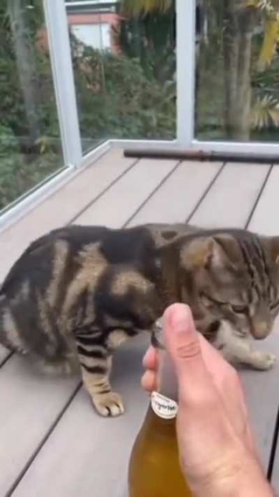 I can watch this video forever