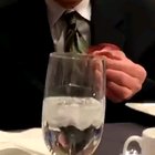 Elsabrouty with a fidget spinner