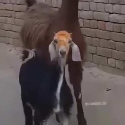 Вечер субботы