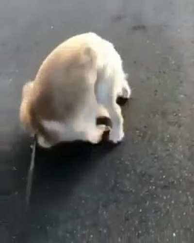 Once you catch it, you don’t let go