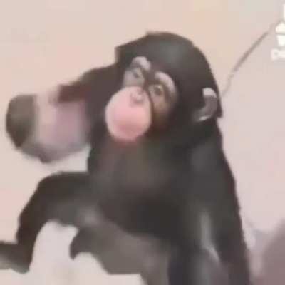 SquarePosting - Video #5189