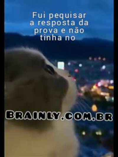Não tinha ;-;