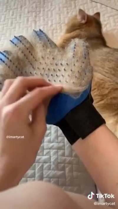 petting gloves