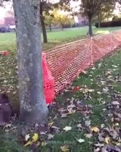 The trick is to get the rope just long enough.