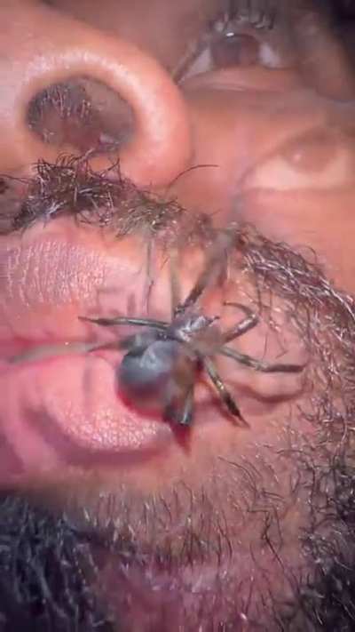 Cath sould do this in the next charity stream