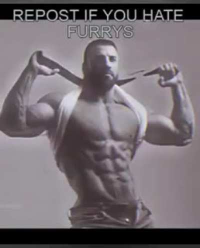 Furry are bad